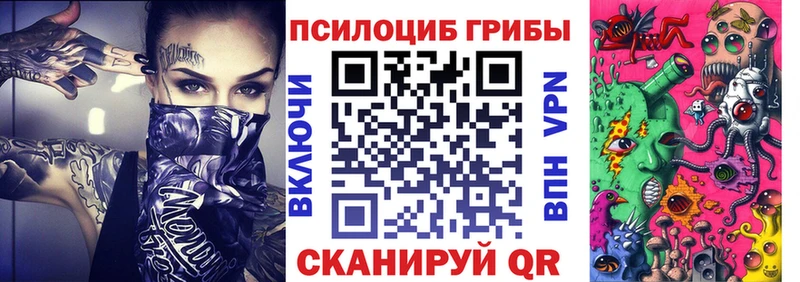 купить   Россошь  Псилоцибиновые грибы Cubensis 