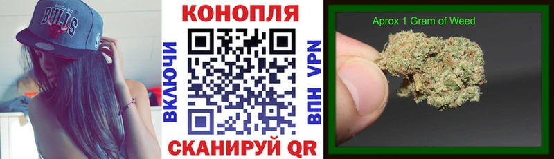 МАРИХУАНА сатива закладки Россошь